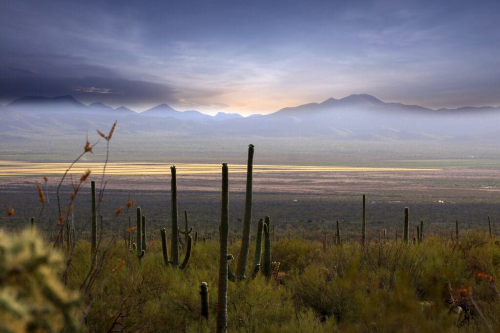 The sun setting over a mountain range in the distance. Miles of brush and cactus stand between the view and the river cutting through the middle of the scene.