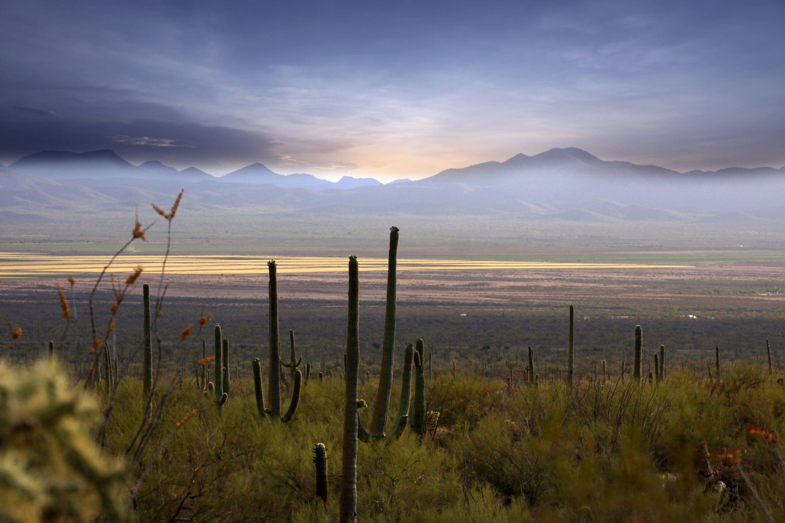The sun setting over a mountain range in the distance. Miles of brush and cactus stand between the view and the river cutting through the middle of the scene.