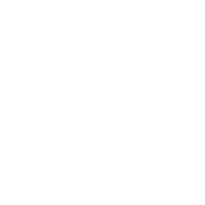 2025 Candid-Guidestar seal Platinum Transparency